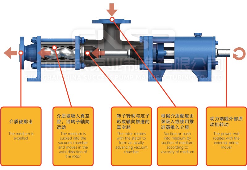 單螺桿泵結(jié)構(gòu)圖